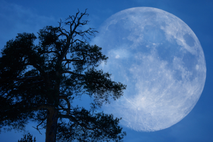 iStock_000007117422XSmall.jpg